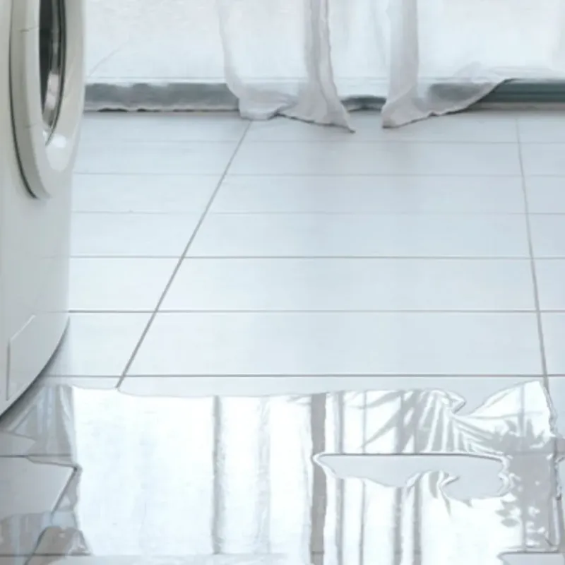 Appliance Leak Cleanup in Nassau Bay, TX