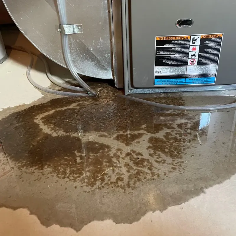Pipe Burst and Leak Restoration in Nassau Bay, TX
